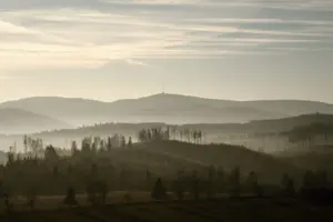 Klidná mlhavá ranní krajina se siluetami stromů a vzdálených kopců pod měkkým slunečním světlem.