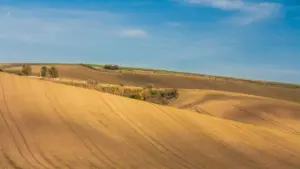 Krásné zvlněné kopce pod jasnou oblohou v jižní Moravě v České republice.